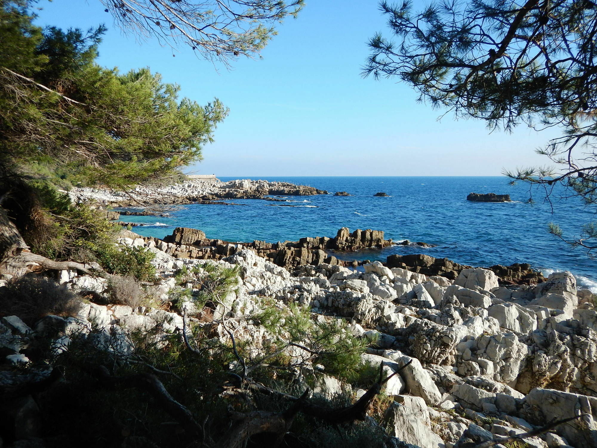 Miramar- Cap D'antibes - La Garoupe Hotel 3*