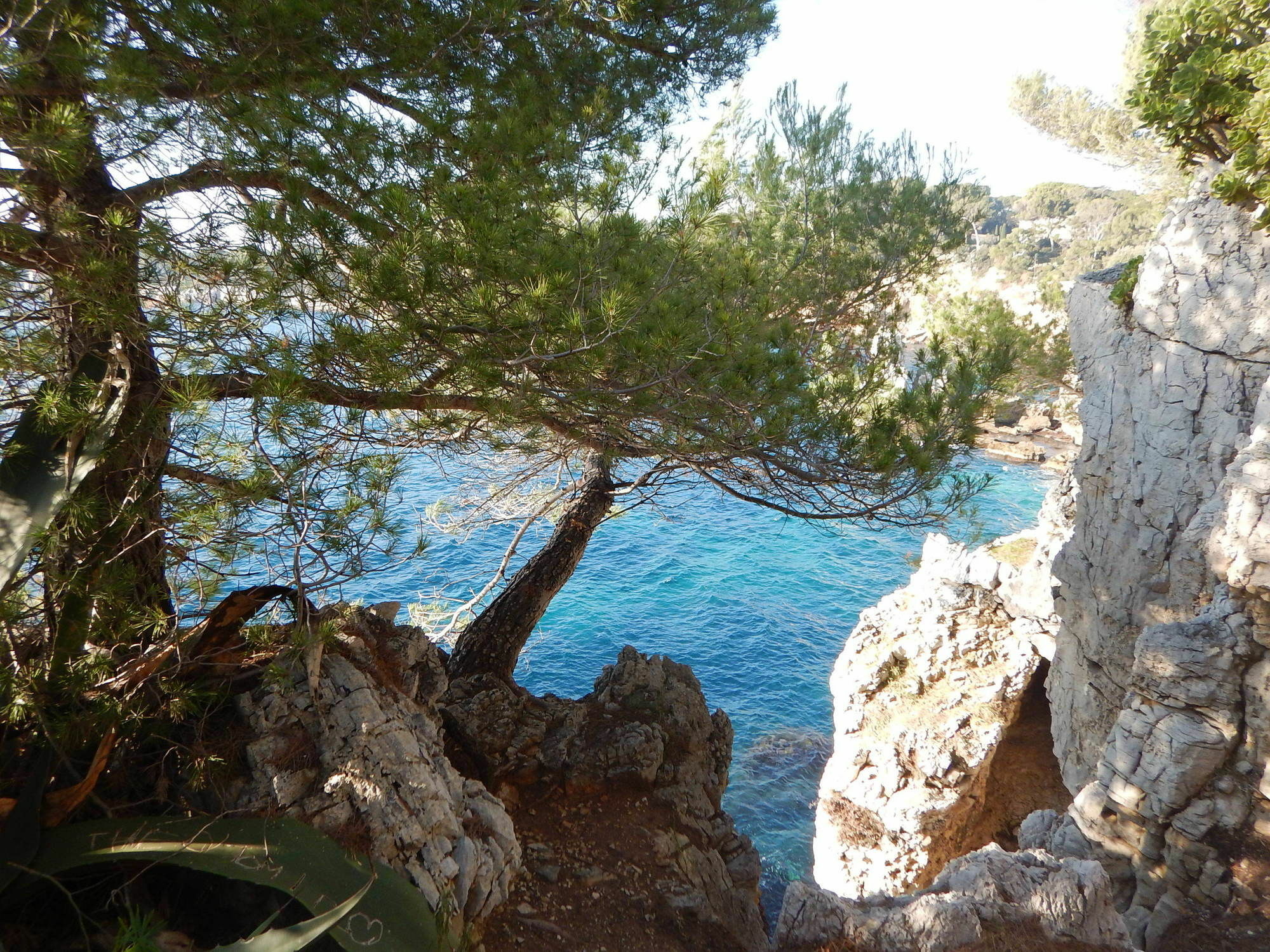 Miramar- Cap D'antibes - La Garoupe